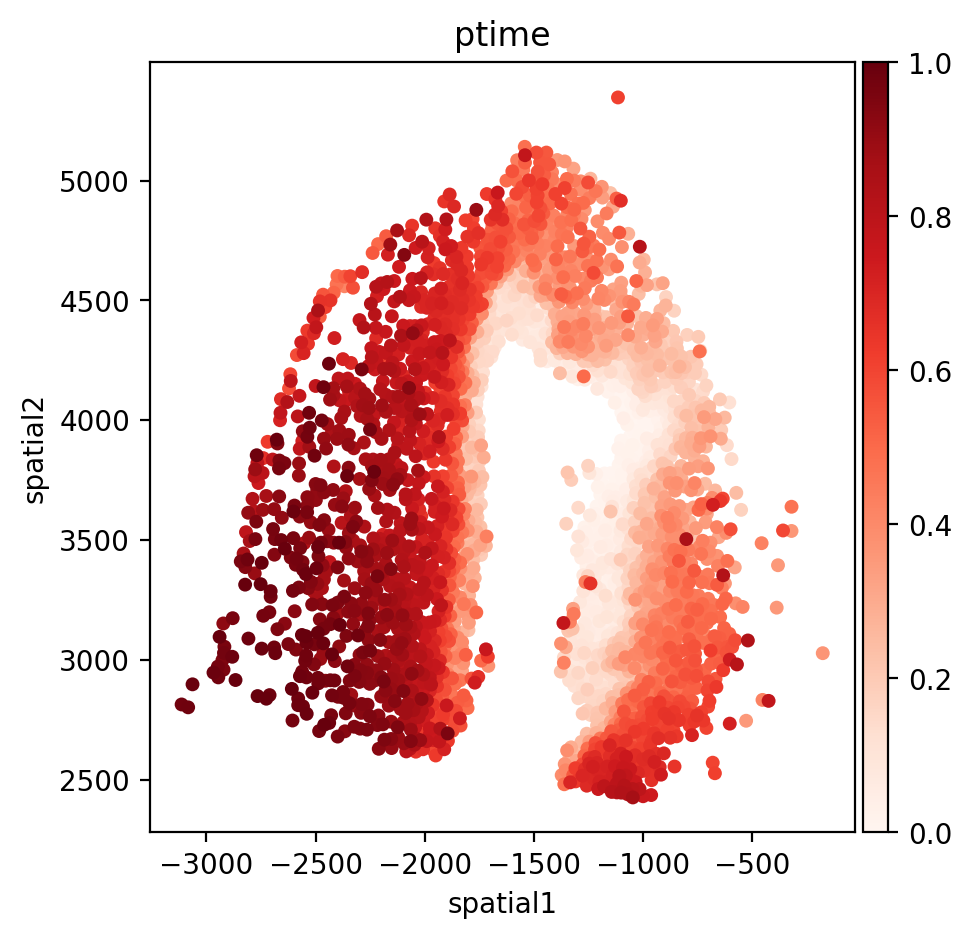 ../_images/notebooks_01.ST_data_of_axolotl_brain_regeneration_after_injury_41_0.png