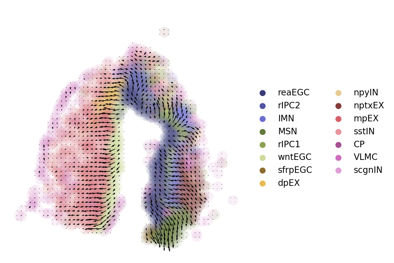 ../_images/notebooks_01.ST_data_of_axolotl_brain_regeneration_after_injury_43_1.png