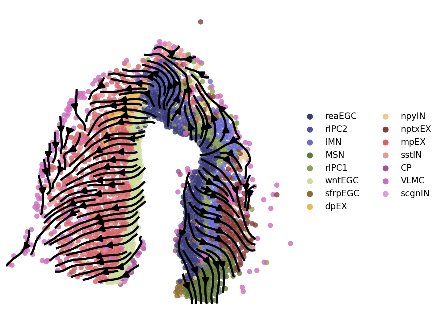 ../_images/notebooks_01.ST_data_of_axolotl_brain_regeneration_after_injury_44_1.png