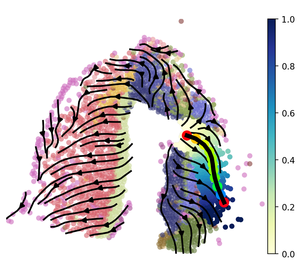 ../_images/notebooks_01.ST_data_of_axolotl_brain_regeneration_after_injury_55_0.png