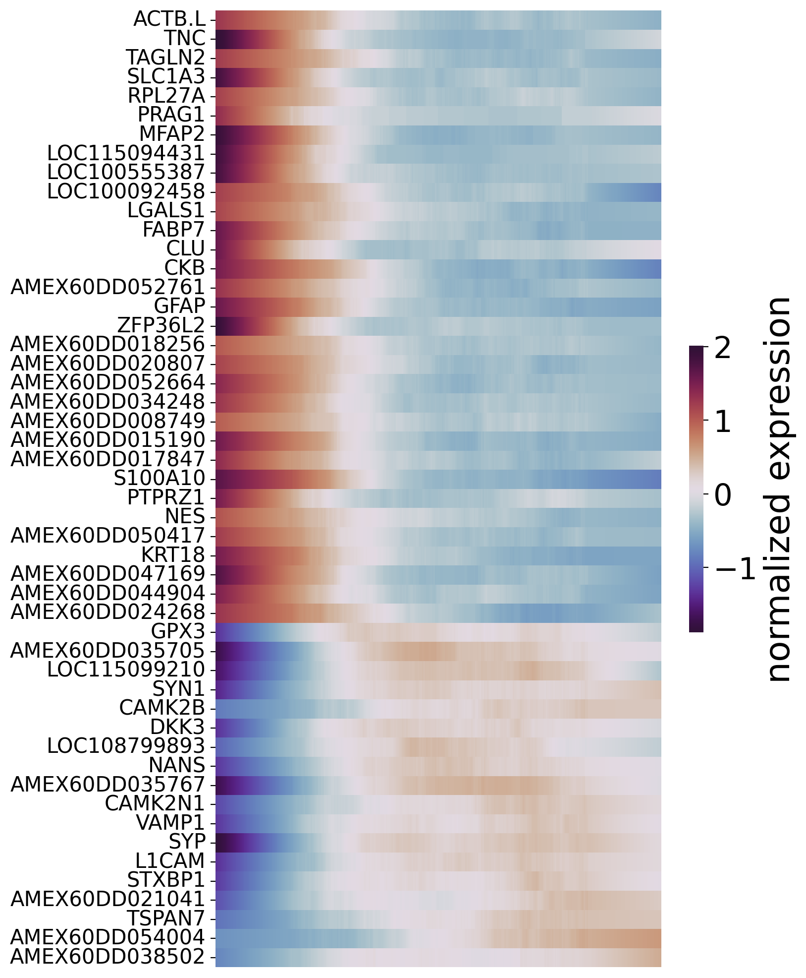 ../_images/notebooks_01.ST_data_of_axolotl_brain_regeneration_after_injury_63_1.png