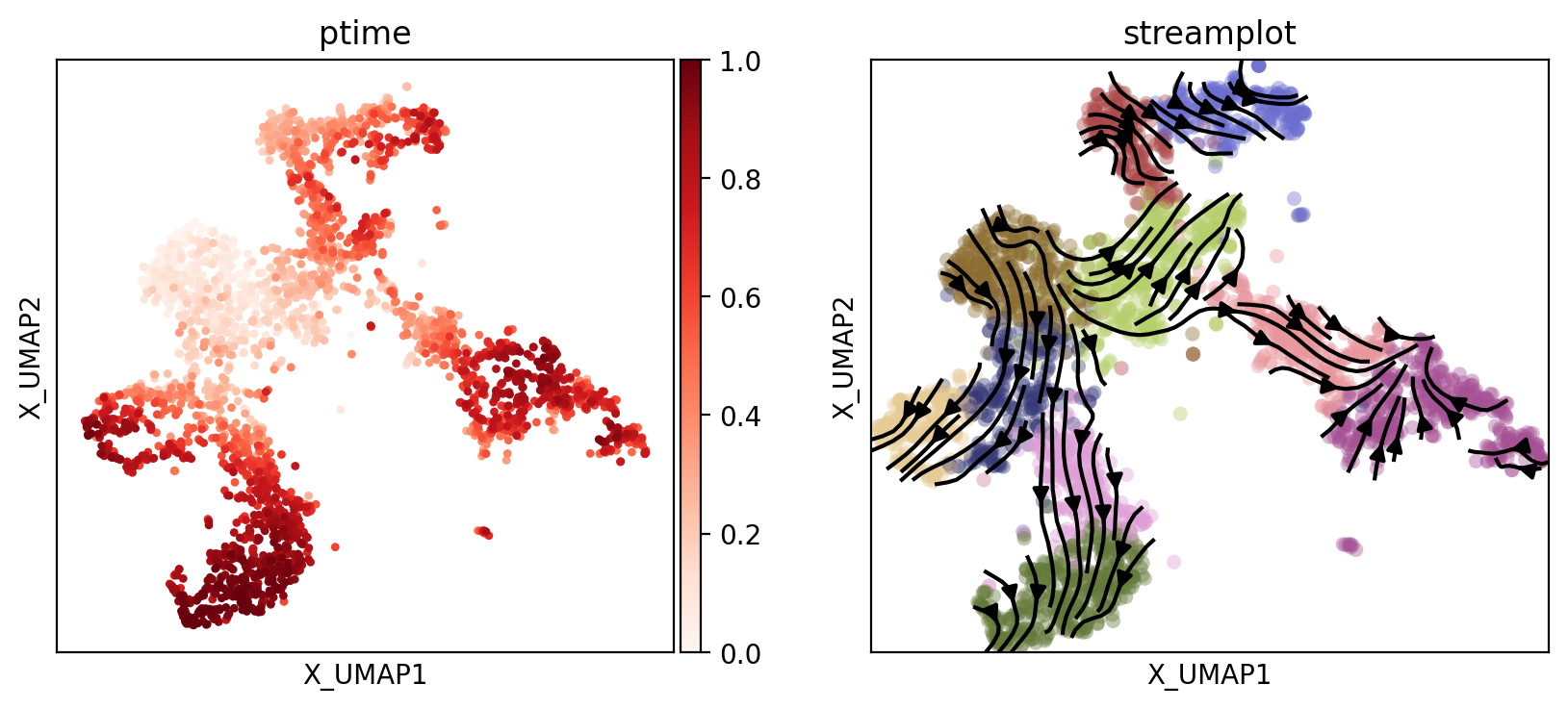 ../_images/notebooks_05.scRNAseq_data_of_HSC_24_1.png