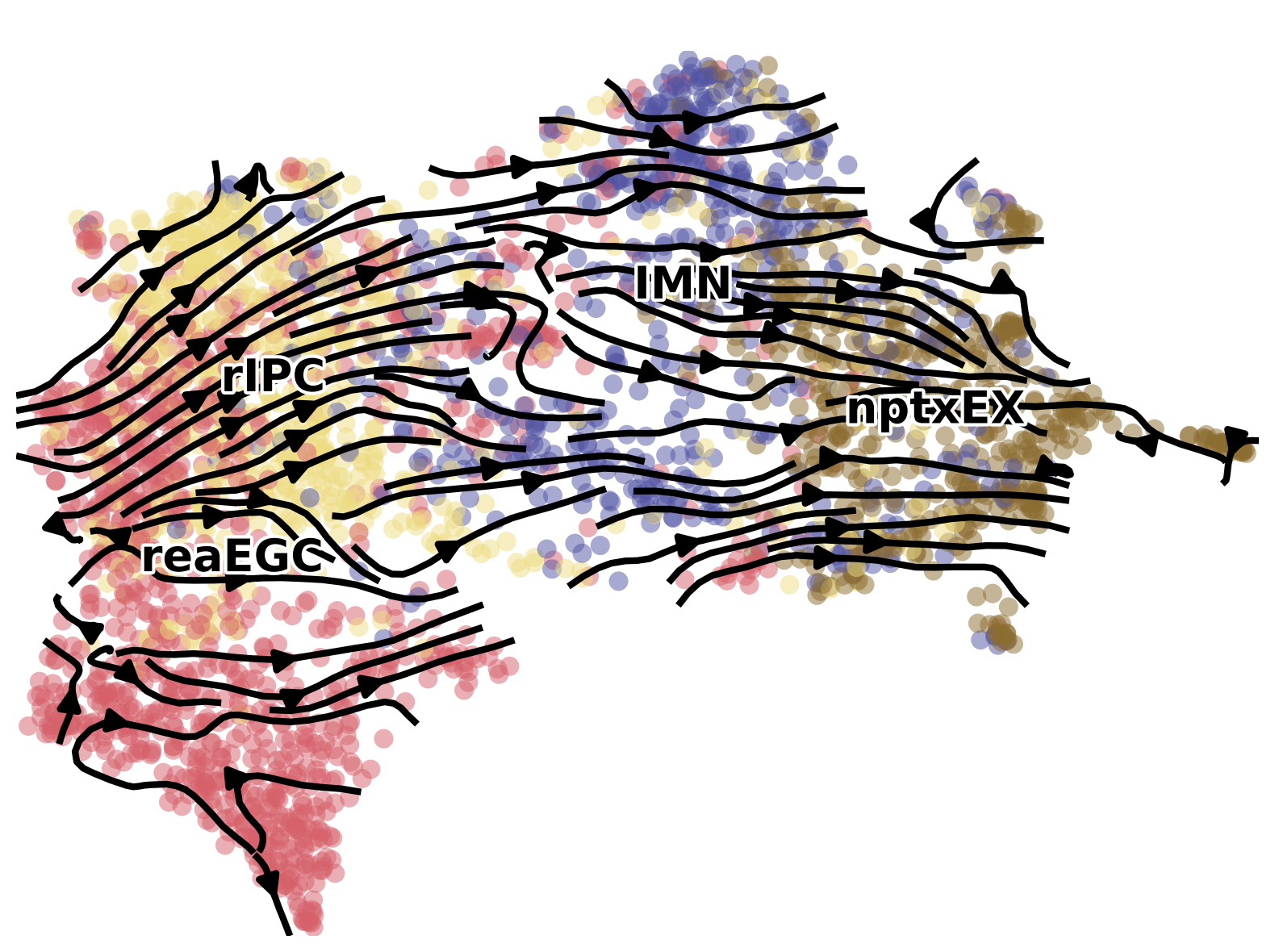 ../_images/notebooks_03.ST_data_of_axolotl_brain_slides_with_multiple_times_19_0.png