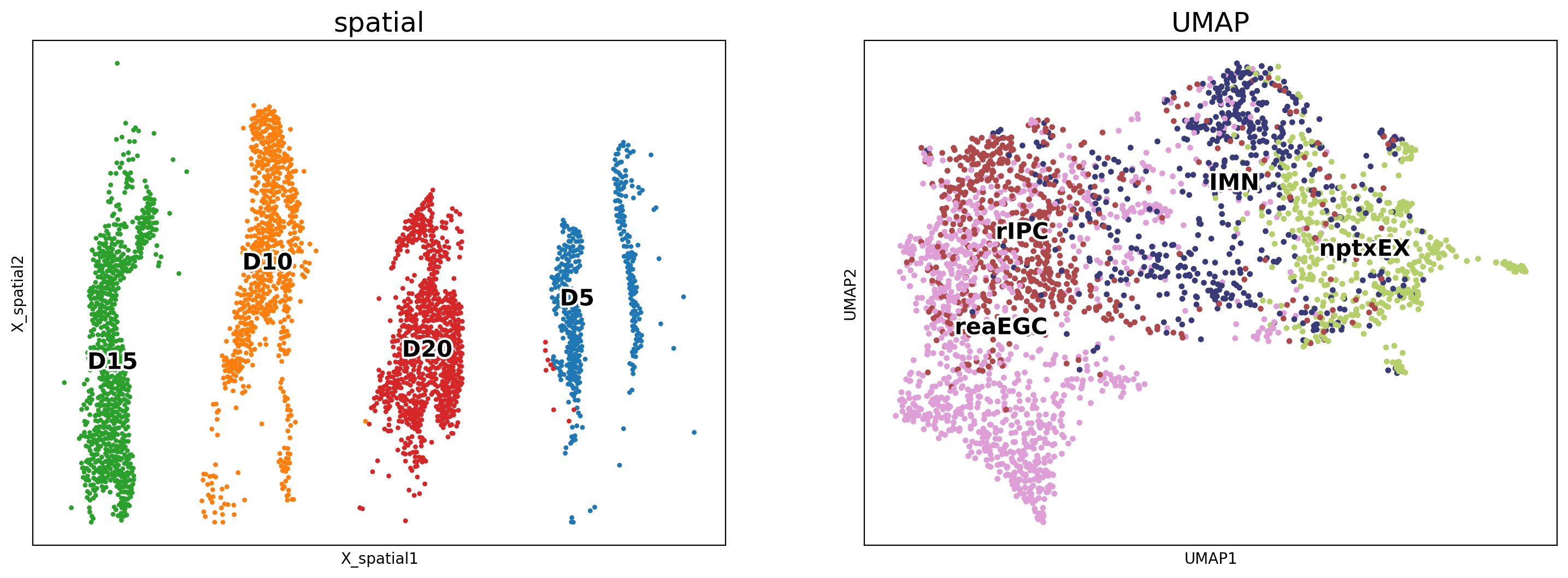 ../_images/notebooks_03.ST_data_of_axolotl_brain_slides_with_multiple_times_8_1.png
